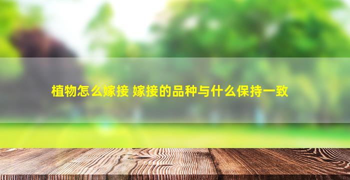 植物怎么嫁接 嫁接的品种与什么保持一致